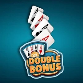 Double Double Bonus online game logo by Red Rake Gaming on minocasino.eu.com